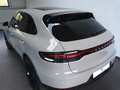 Porsche Macan S Luftfahrwerk Panorama Bose AHK - thumbnail 13