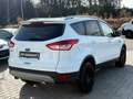 Ford Kuga 2.0 TDCi 4x4 Titanium / Bi-Xenon / Leder Weiß - thumbnail 6