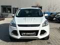 Ford Kuga 2.0 TDCi 4x4 Titanium / Bi-Xenon / Leder Weiß - thumbnail 3