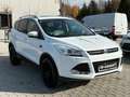 Ford Kuga 2.0 TDCi 4x4 Titanium / Bi-Xenon / Leder Weiß - thumbnail 4