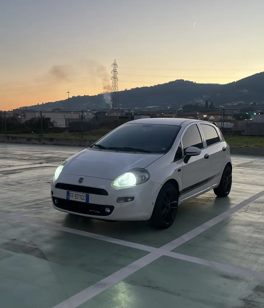 Fiat Punto 5p 1.2 Young - 1