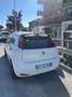 Fiat Punto 5p 1.2 Young - thumbnail 6