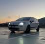 Fiat Punto 5p 1.2 Young - thumbnail 2