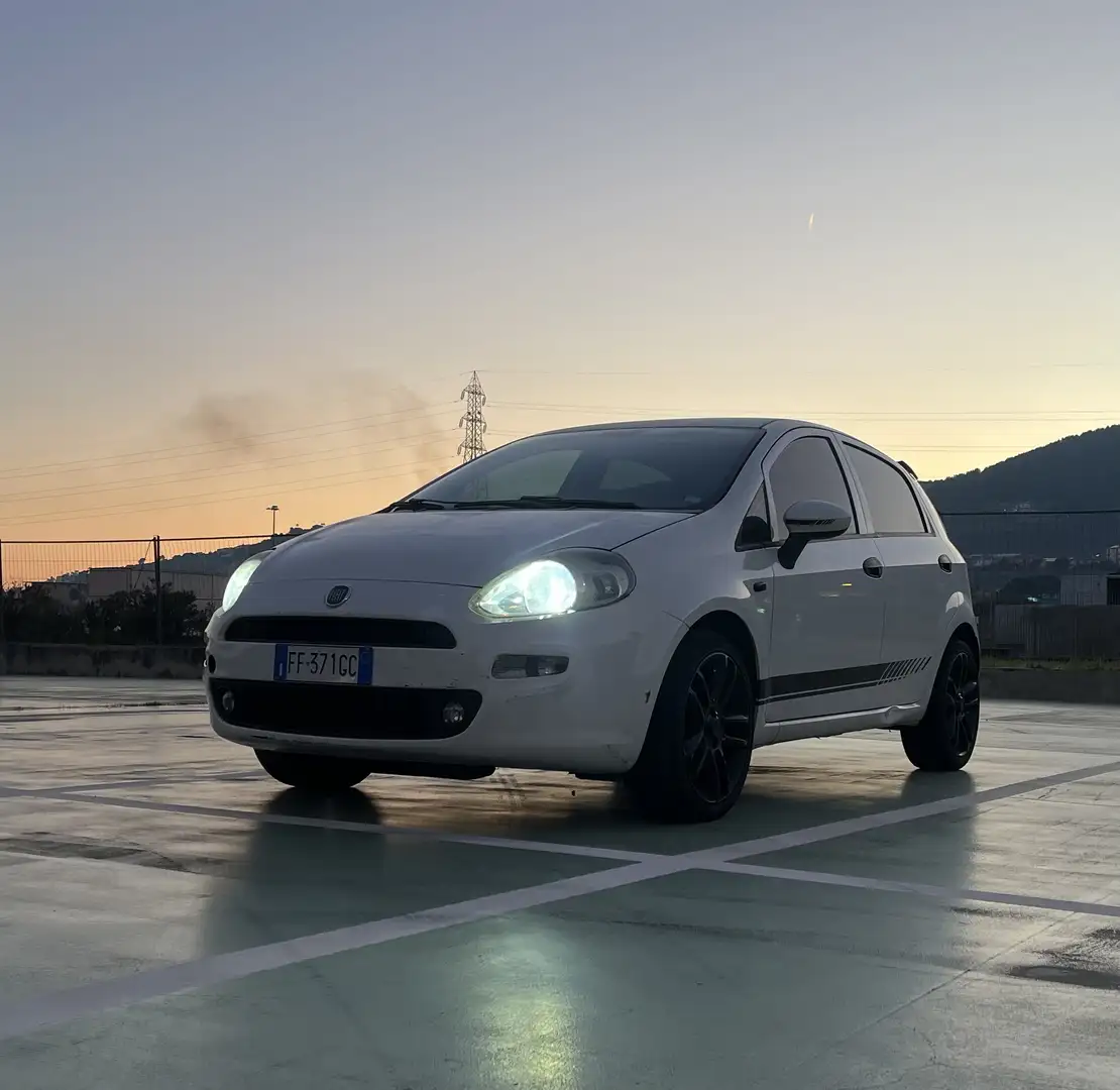 Fiat Punto 5p 1.2 Young - 2