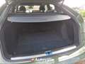 Audi Q5 Q5 40 TDI 204 CV quattro S tronic S line Vert - thumbnail 8