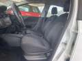 Fiat Punto Punto 5p 1.3 mjt 16v Street 75cv E5+ Blanc - thumbnail 11