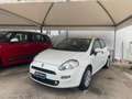 Fiat Punto Punto 5p 1.3 mjt 16v Street 75cv E5+ Blanc - thumbnail 1