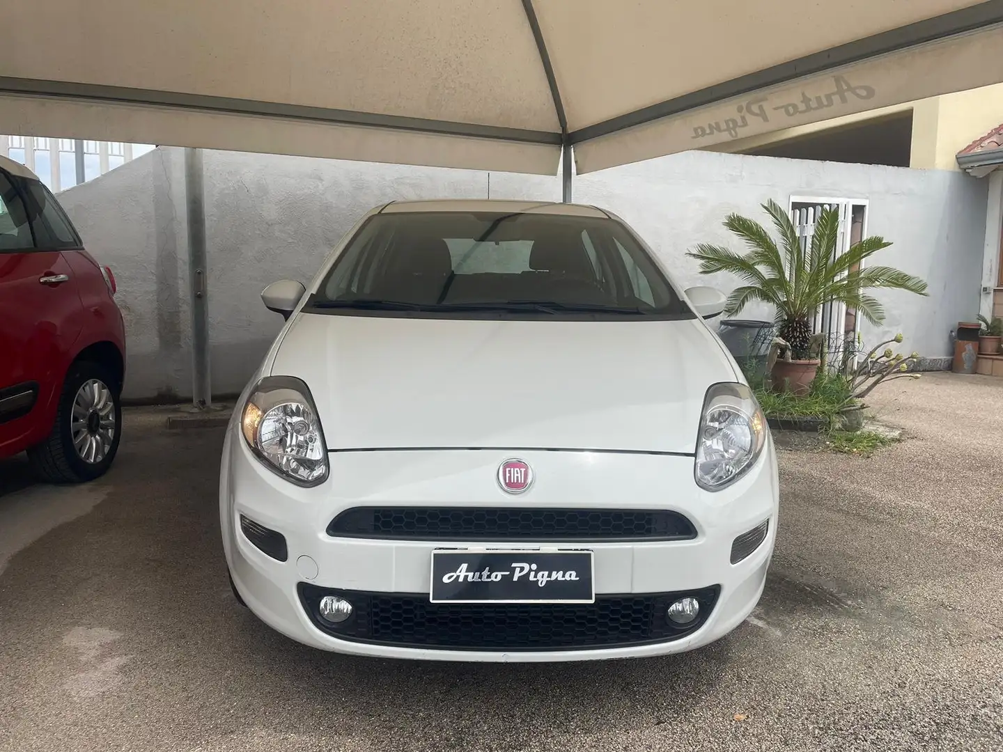 Fiat Punto Punto 5p 1.3 mjt 16v Street 75cv E5+ Blanc - 2