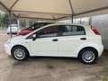 Fiat Punto Punto 5p 1.3 mjt 16v Street 75cv E5+ Blanc - thumbnail 4