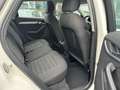 Audi Q3 2.0 TDI Quattro*Automatik*Navi*Shz*LED Weiß - thumbnail 12