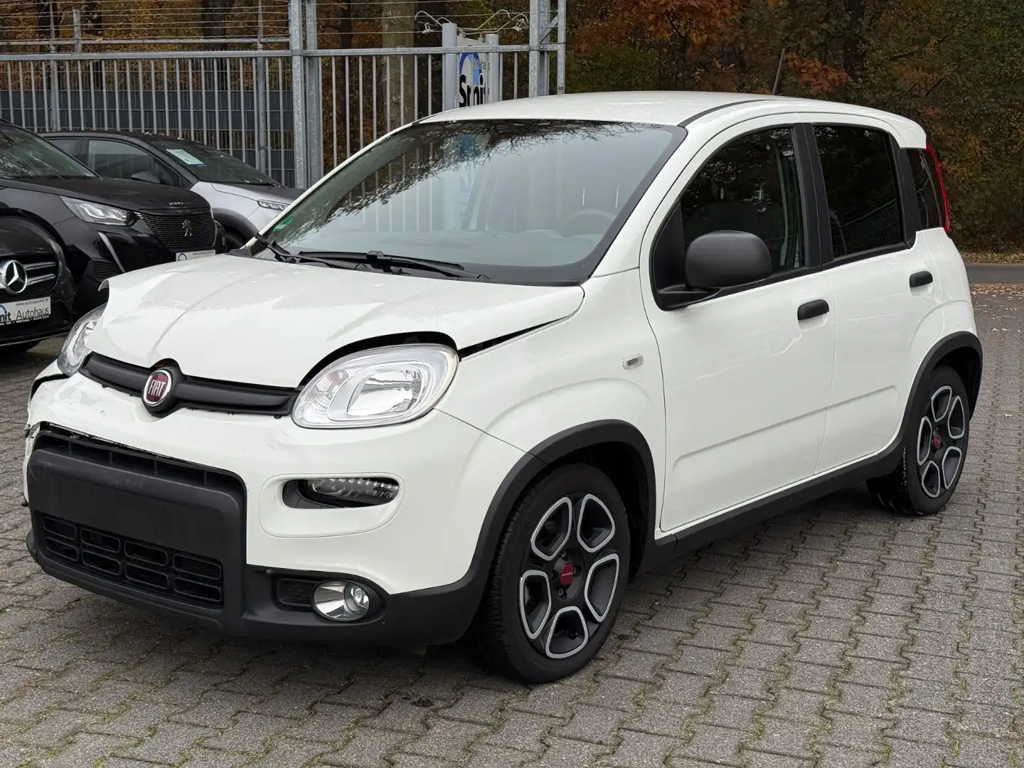 Fiat Panda 1.0 Hybrid PDC Klima - 2