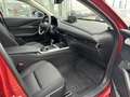 Mazda CX-30 2.0L e-SKYACTIV G 150ps 6MT FWD Homura *sofort* Rouge - thumbnail 16