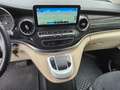 Mercedes-Benz Marco Polo 220 d Automatic PC - "RoadSurfer" - "DA VETRINA" Blu/Azzurro - thumbnail 8