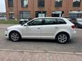 Audi A3 1.6 tdi Ambition Bianco - thumbnail 8