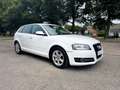 Audi A3 1.6 tdi Ambition Bianco - thumbnail 3