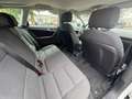 Audi A3 1.6 tdi Ambition Bianco - thumbnail 15