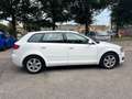 Audi A3 1.6 tdi Ambition Bianco - thumbnail 4
