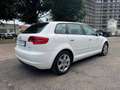 Audi A3 1.6 tdi Ambition Bianco - thumbnail 5