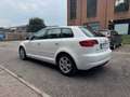 Audi A3 1.6 tdi Ambition Bianco - thumbnail 7