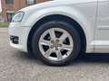 Audi A3 1.6 tdi Ambition Bianco - thumbnail 9