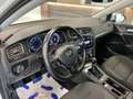Volkswagen Golf 1,6 TDI COMFORTLINE AHK VIRTUAL RFK 18 ZOLL Kombi Weiß - thumbnail 14