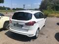 Ford B-Max 1.4 90 CV GPL Business Titanium GPL NUOVO 2025 Bianco - thumbnail 5