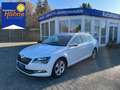 Skoda Superb Combi Style 2.0 TDI-LED-e.Sitze-Kamera Weiß - thumbnail 1