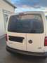 Volkswagen Caddy Kombi 2,0 TDI 4MOTION - thumbnail 2