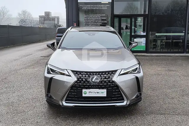 Lexus UX 250h UX Hybrid Business