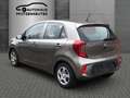 Kia Picanto Edition 7 Plateado - thumbnail 6