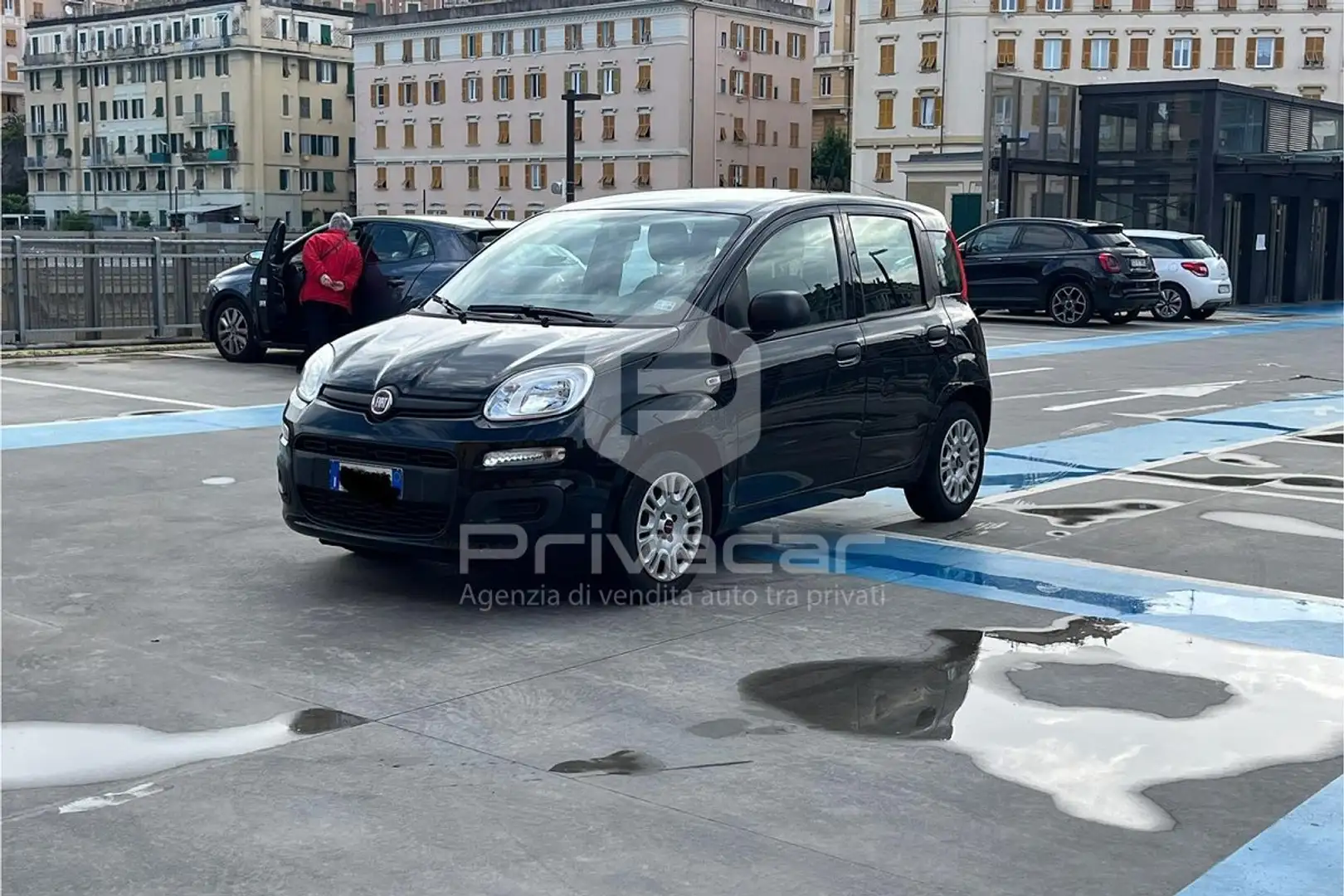 Fiat Panda Panda 1.0 FireFly S&S Hybrid Negro - 1