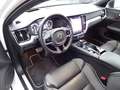 Volvo V60 T8 R Design Plug-In AWD AHK Pano ACC HUD Weiß - thumbnail 15