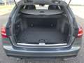Mercedes-Benz C 250 C 250d 4Matic AMG Line Grau - thumbnail 4