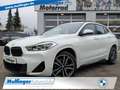 BMW X2 xDrive18d M Sport PanoDach Navi HiFi AHK 19" Weiß - thumbnail 1