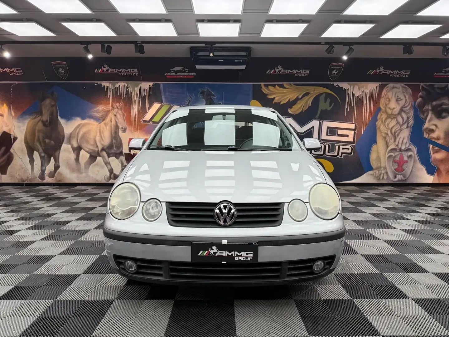 Volkswagen Polo 1.4 16V 5p. X Air (254) Grigio - 2