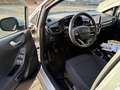 Ford Fiesta 1.0 EcoBoost Titanium Grijs - thumbnail 9