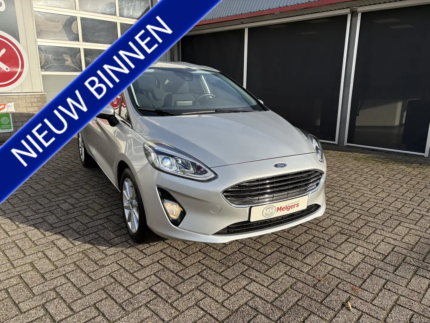 Ford Fiesta 1.0 EcoBoost Titanium Grijs - 1