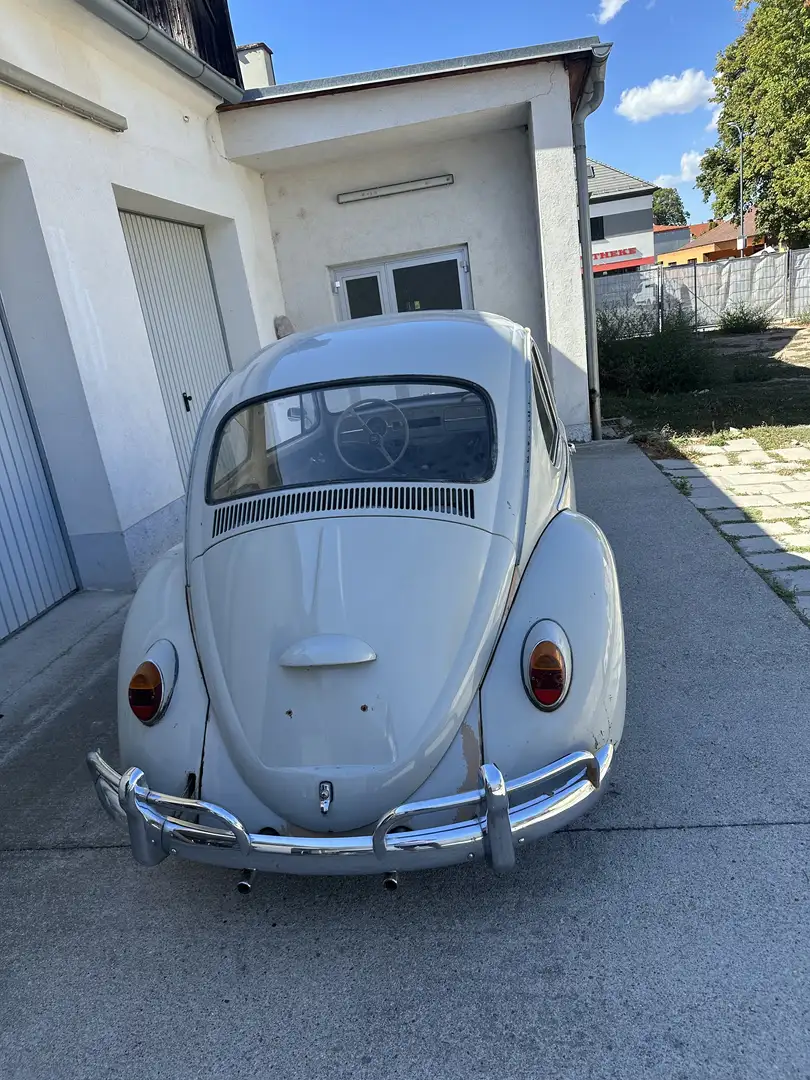 Volkswagen Käfer Type 11 Luxus - 1