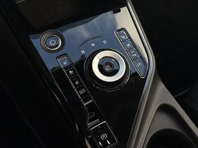Kia E-Niro view 30