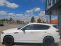 Mazda CX-60 3.3L e-SKYACTIV D 254ps Homura, COSO,sofort Weiß - thumbnail 3