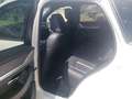 Mazda CX-60 3.3L e-SKYACTIV D 254ps Homura, COSO,sofort Weiß - thumbnail 6