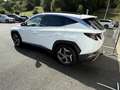 Hyundai TUCSON Tucson 1.6 CRDi Hybrid  136 - BV DCT-7  ATTELAGE + Blanc - thumbnail 5