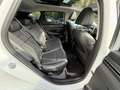 Hyundai TUCSON Tucson 1.6 CRDi Hybrid  136 - BV DCT-7  ATTELAGE + Blanc - thumbnail 13