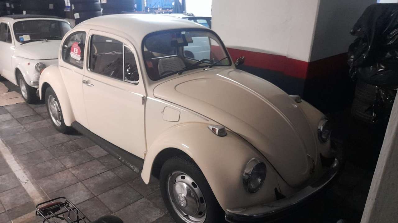 Volkswagen Maggiolino