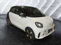 smart forFour forfour EQ Passion Bianco - thumbnail 3