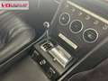 Ferrari 330 GTC Blauw - thumbnail 15