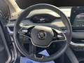 Skoda Enyaq 80 Loft ACC*360 CAM*NAVI Klima Navi Argent - thumbnail 13