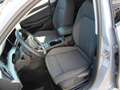 Volkswagen Golf VIII TSI Life Panoramad. Grau - thumbnail 16