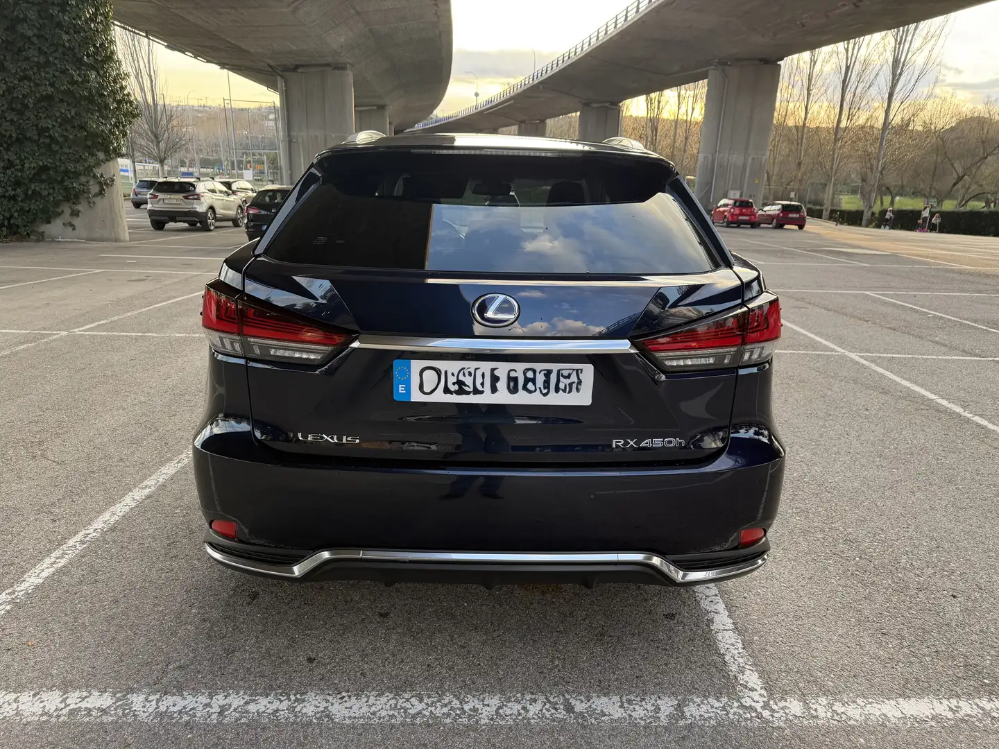 Lexus RX 450h Executive - 2