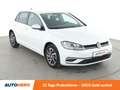 Volkswagen Golf 1.0 TSI Sound *ACC*PDC*SHZ*KLIMA* Weiß - thumbnail 8